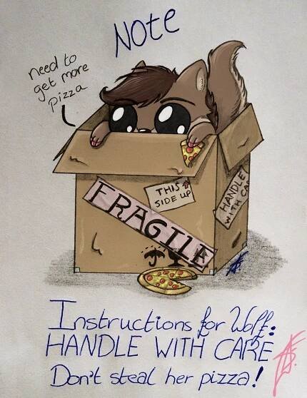 Boxed Critter Collection | Solus Zelt