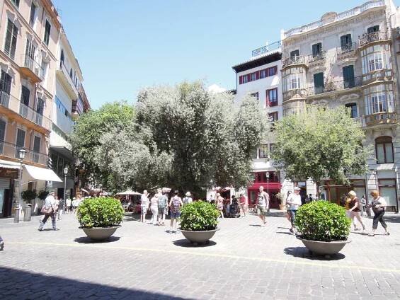 Mallorka: Ostrov oleandrů, cyklistů a dokonalých pláží