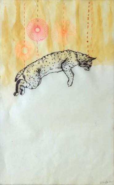 Suspended: Bobcat