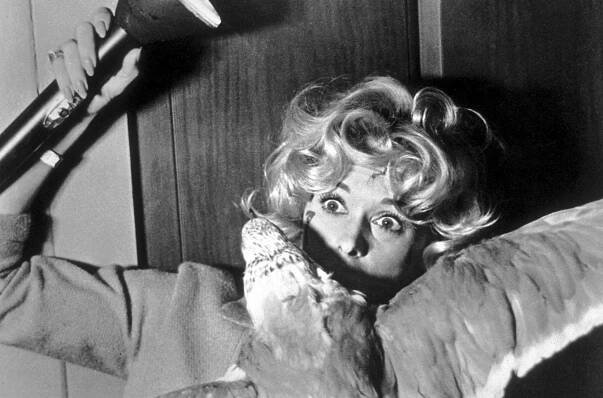 Tippi Hedren und die wilden Tiere (2021)