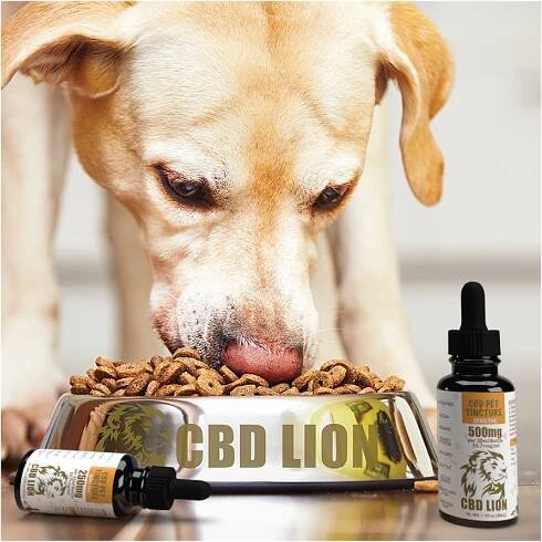 Meet our pets and how they use CBD | 3rd party Tested | CBD LION