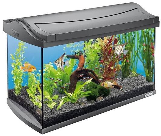 Levně Akvárium set TETRA AquaArt LED 57 x 30 x 35 cm 60 l