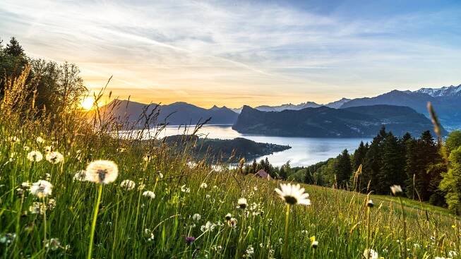 Tell-Pass - das Ticket für die Zentralschweiz | Tellpass