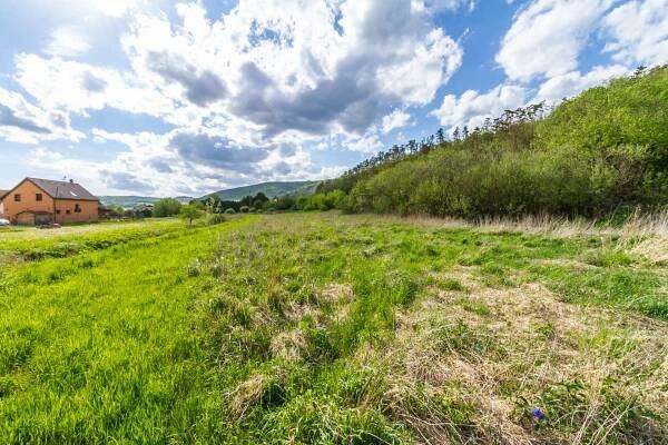 Prodej stavebního pozemku 16067 m² v Králově Dvoře Počaplech - Michal Kutzendörfer 