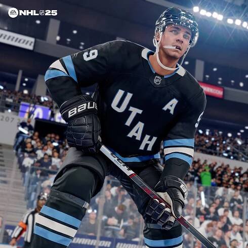 Rozbor režimu Organizace v NHL 25