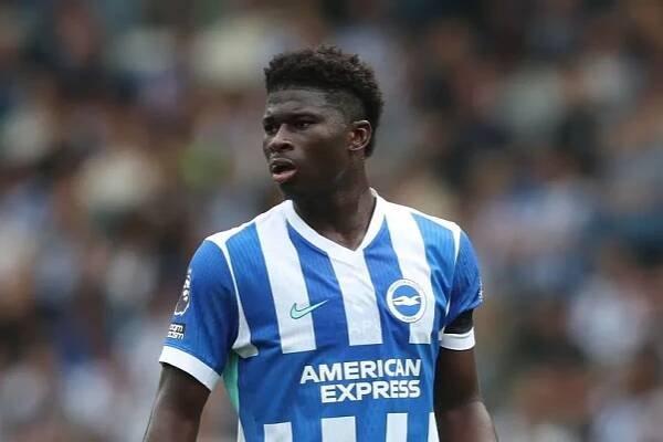 Carlos Baleba during the Premier League match between Brighton & Hove Albion and Fulham 