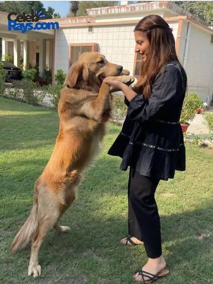 Dananeer Mobeen pet dog