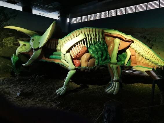 Fotografie - Dinopark Liberec - 15.08.2021