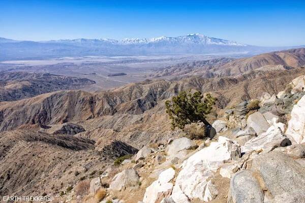 14 Epic Hikes in Joshua Tree National Park (+ Maps & Photos)