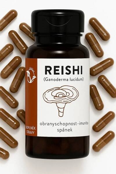 Reishi extrakt 300 mg – 100 kapslí