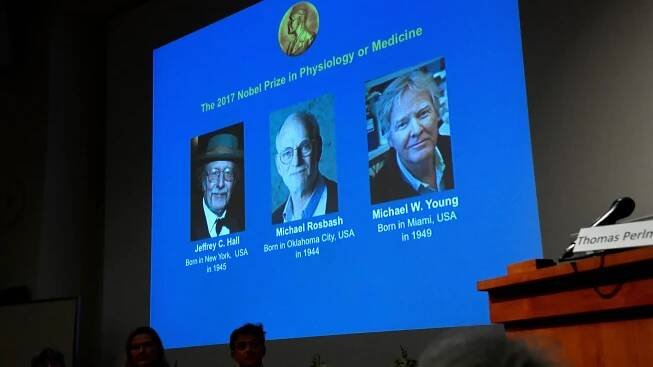 Nobelovu cenu 2017 za lékařství a fyziologii dostali vědci za zkoumání biologických hodin