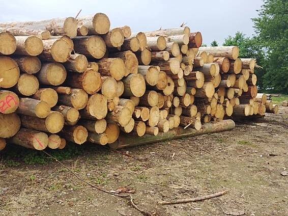 Štípané palivové dřevo Vysočina - Humpolec, Mirek Hrůza