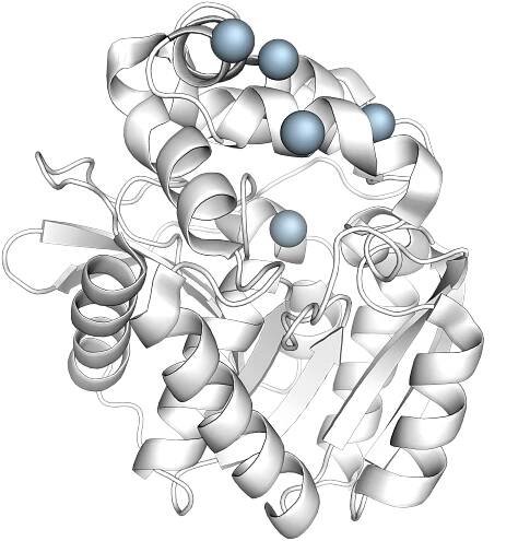 ADL Lab 