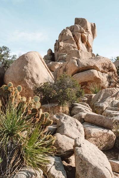 Weekend Retreat in Joshua Tree - Hayli Nicole