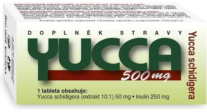 NATURVITA YUCCA 500mg tbl.60