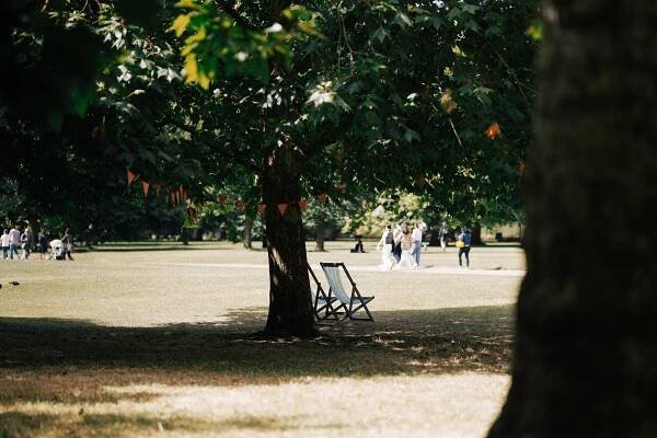 A serene park scene features two deck chairs under a large tree, surrounded by lush greenery. In the background, people stroll along a grassy path, enjoying the outdoors. Colorful bunting hangs from the tree, adding a festive touch to the tranquil environment.