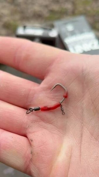 One of the BEST Ronnie Rig/Spinner Rig Hooks you’ll EVER use! #carpfishing #carprigs #fishing