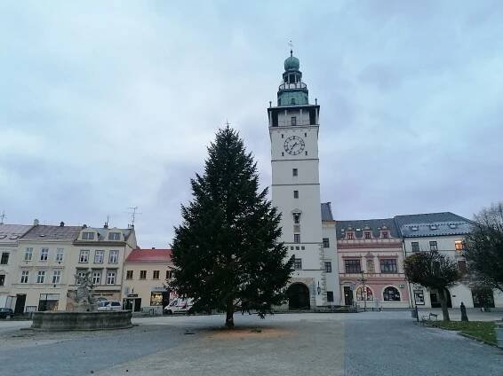 Vánoční strom už zdobí náměstí ve Vyškově. Rozsvícení doprovodí i jarmark