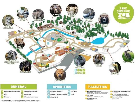 Visit the Zoo – Lake Superior Zoo