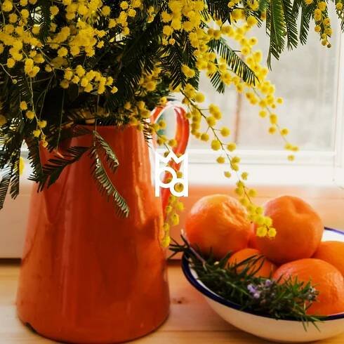 Mandarine and Mimosa Fragrance Oil