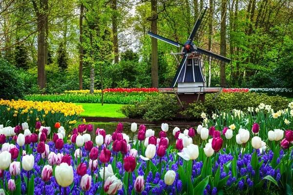 Květinový park Keukenhof v Holandsku