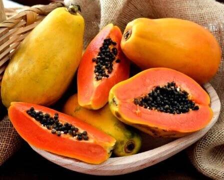 Papaya