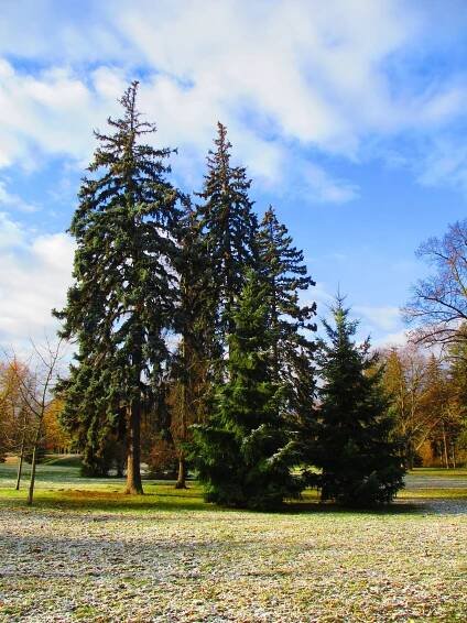 Fotografie - Šimkovy sady (Hradec Králové) - 26.11.2023