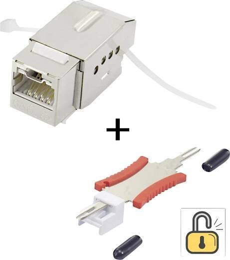 RJ45 vestavný modul S funkcí zajištění - vč. nástroje pro odjištění Keystone CAT 6A Renkforce KSV10 + Tooling