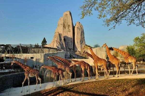 Paris Zoo