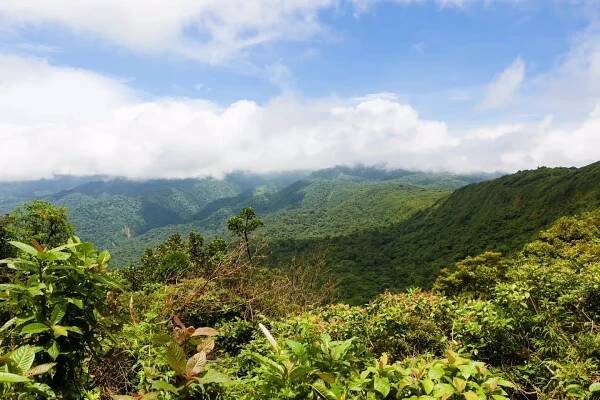 Visit Monteverde Cloud Forest Reserve: Tour Canopy Bridges & Spot Quetzals