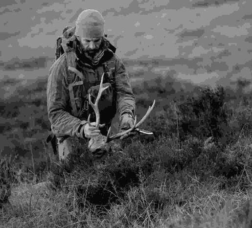 Hunting rifles, Ammunitions and blogs