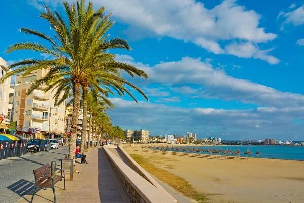 Beach promenade with palm trees and sandy beach.