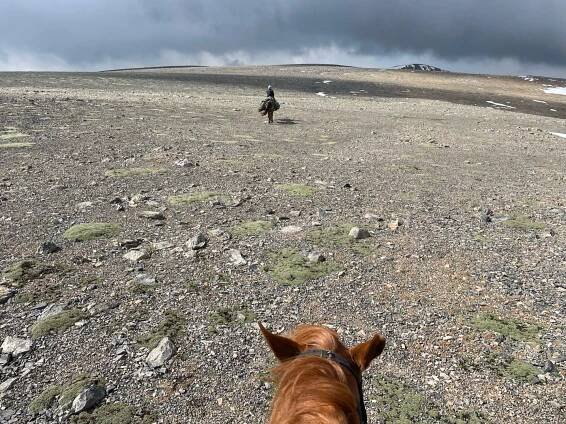 Short ride Kyrgyzstán 2023 | Horsemenistán
