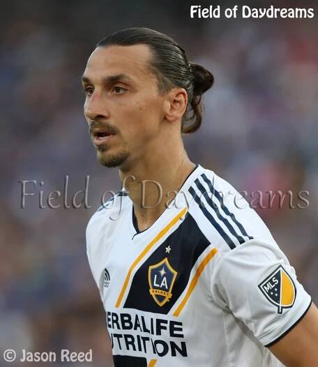Field of Daydreams - Photo Galleries - S