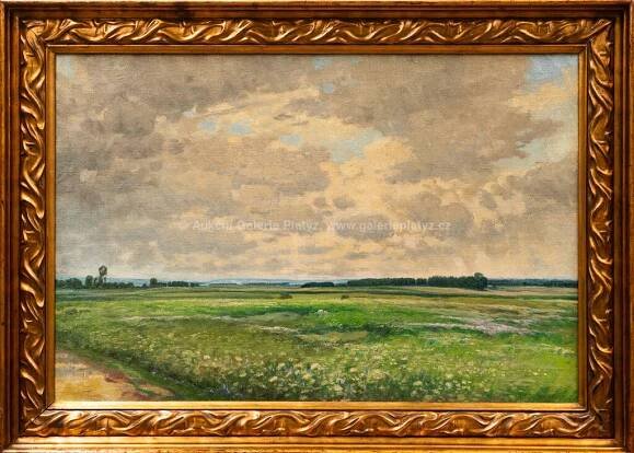 Ferdinand Engelmüller - Rozkvetlá louka - Aukční Galerie Platýz