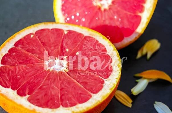 GRAPEFRUIT JÁDRA - Extrakt z Grepových Jader | Herbavis.cz