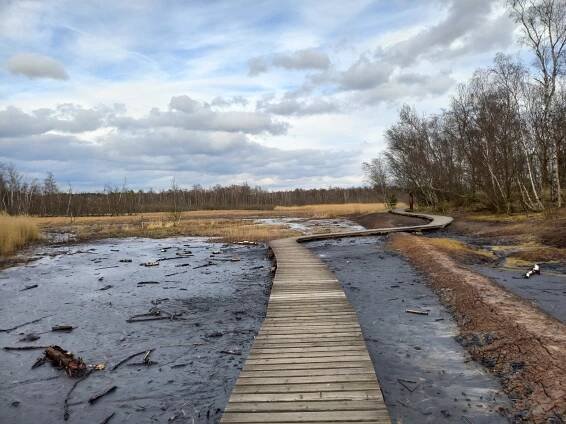 /FOTO, VIDEO/: Všude to syčí a bublá. Rezervace Soos vypadá jako z jiného světa