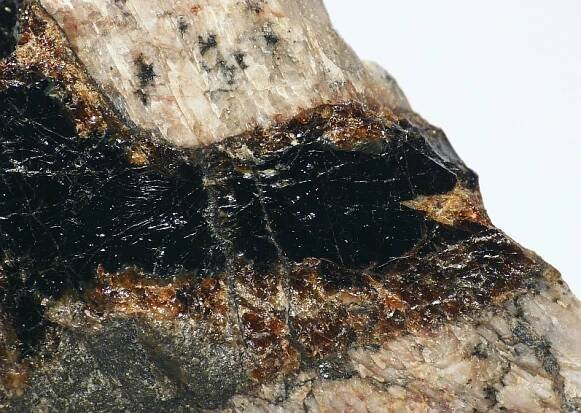 Gadolinit-(Y) aus Tvedestrand, Norwegen (Sichtfeld 2 cm)
