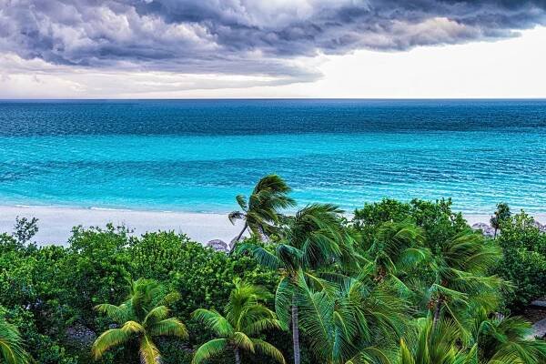 Bahamas and Cozumel Reports 2021