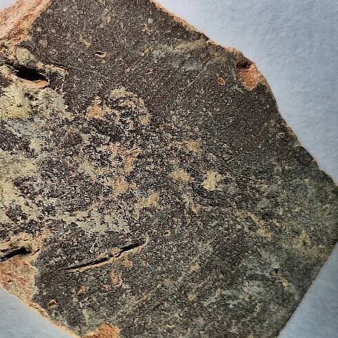 This Ancient Paw Print on a Pottery Fragment in Jerusalem Is the Oldest Known Evidence of a Cat Kneading
