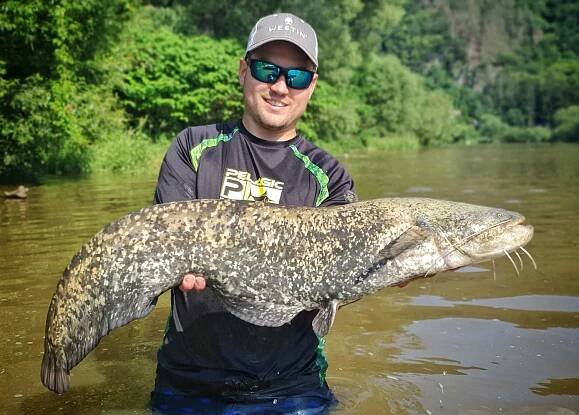 Lov sumců | MV Fishing.cz