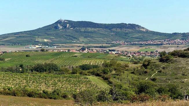 Jižní Morava – turistika krajem vína