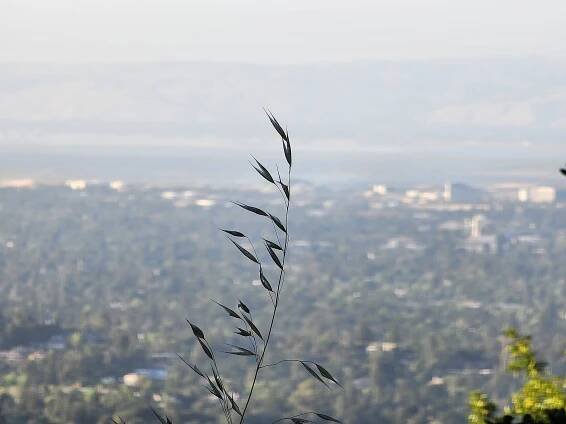 File:Silicon Valley background Samsung Galaxy S22 Ultra.jpg