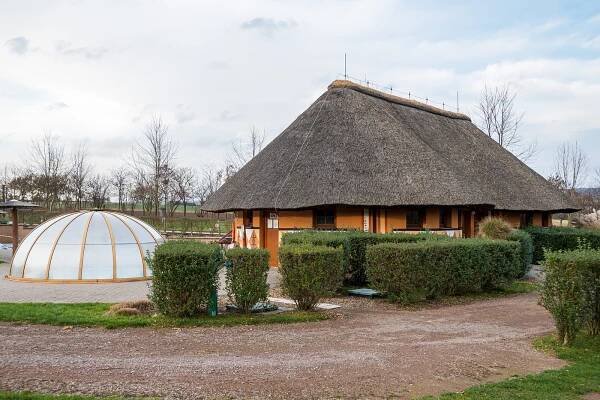 FOTO: Lidé v zoo v době rouškové. Obrovský zájem mají o ubytování na léto