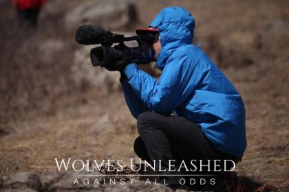 Wolves Unleashed - Against All Odds 