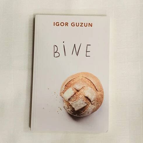 Bine de Igor Guzun - Romanian Books USA