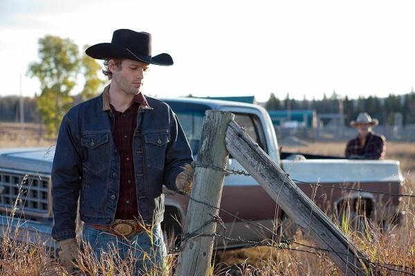 Ranč Heartland - Divocí koně (S05E16) (2012)