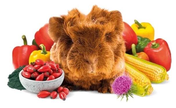 Brit Animals GUINEA PIG complete 300g