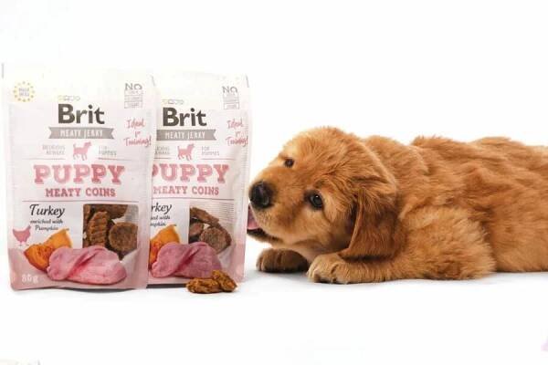 Brit Jerky Puppy-Turkey Meaty Coins 80 g - 2