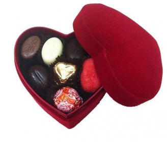 bonboniéra srdce plyšové 2patra (belgická čokoláda cca 240g, mix cca 16 ks pralinek)